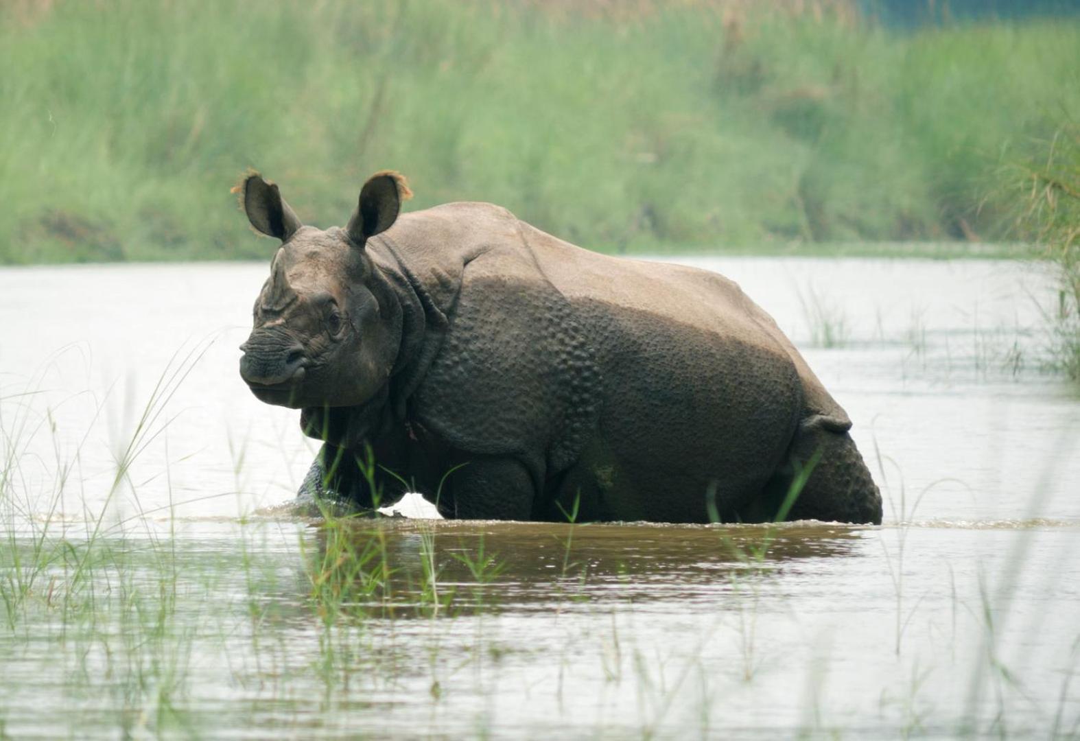 Hotel Family House - Bardia National Park Bardiya Exterior foto